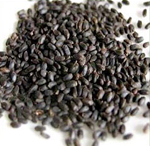 Basil seed