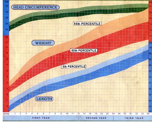 Baby Head Circumference Growth Chart