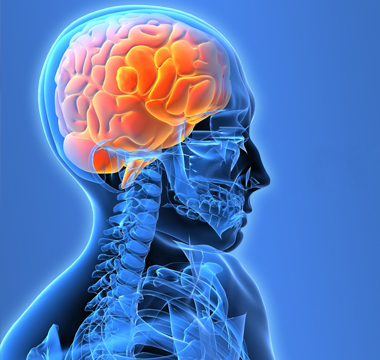 Oct 10 - World Mental Health Day