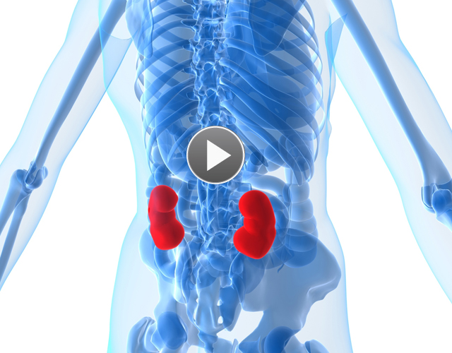 March 14 - World Kidney Day