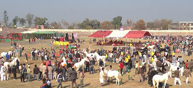 Muktsar fair - festivals of Punjab - fairs of Punjab - other fairs of ...