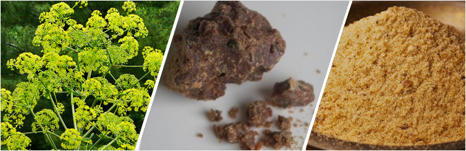 Asafoetida