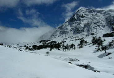 Arunachal Pradesh