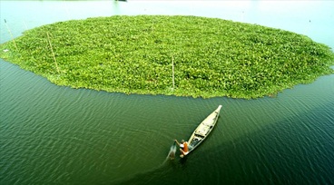 Assam