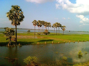 Bihar