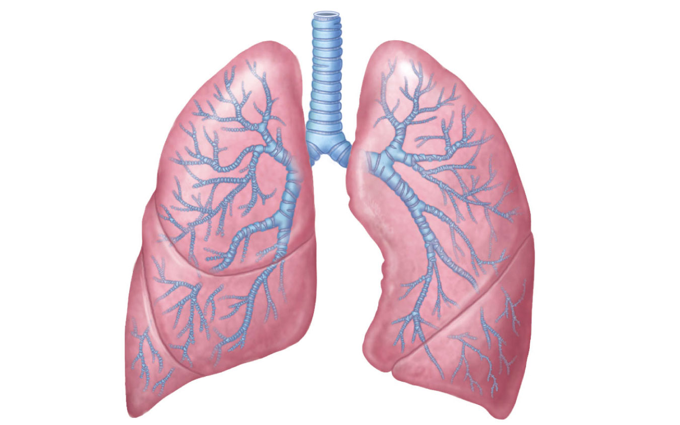 Pulmonary Rehabilitation: A New Hope For Breathless Patients