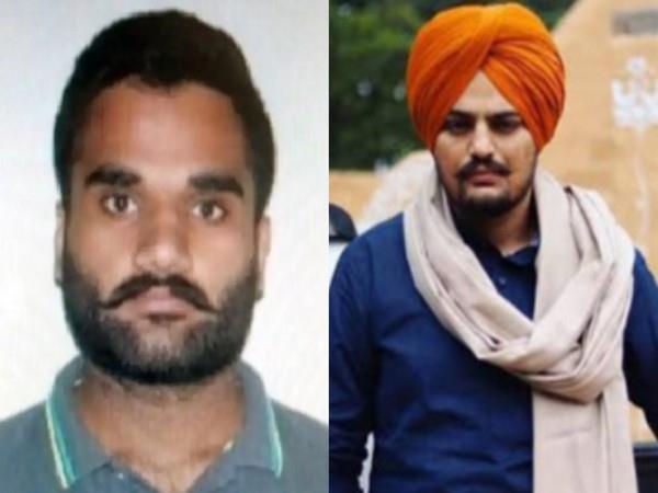 Gangster Goldy Brar will soon be brought back to India: Punjab minister