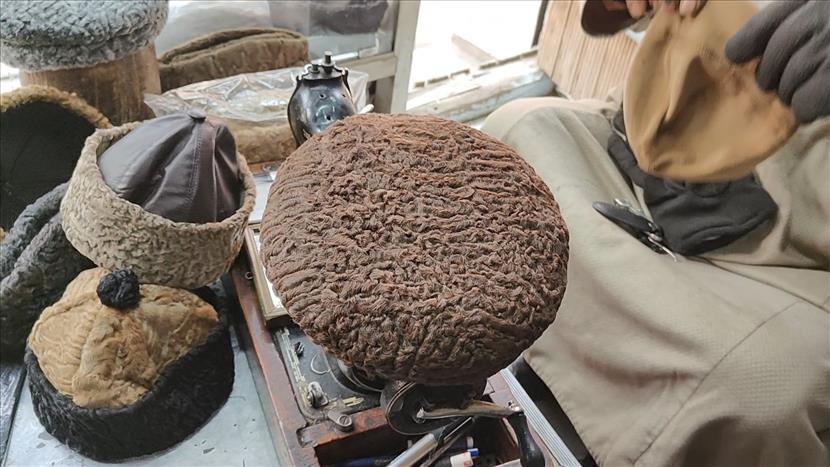 Karakul: A unique symbol of Kashmiri culture and tradition