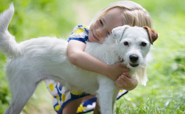 Pets Can Do Wonder For Your Health