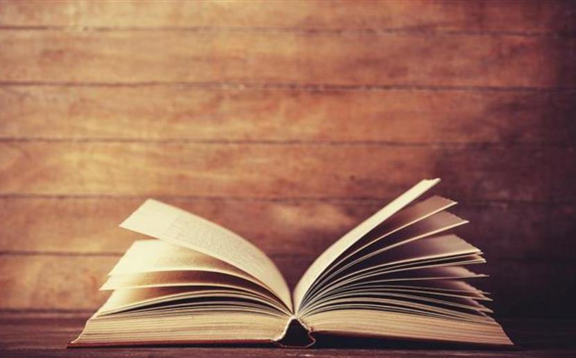 Passion, love and ample romance (IANS Books)