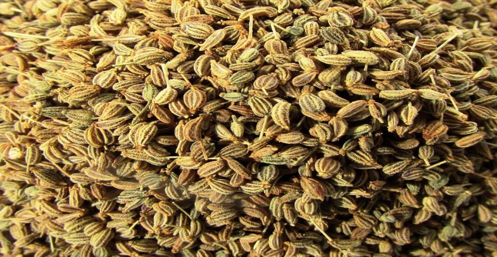Ajwain In English