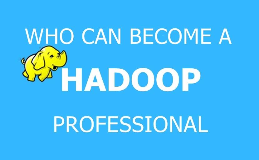 Who can become a Hadoop Professional?