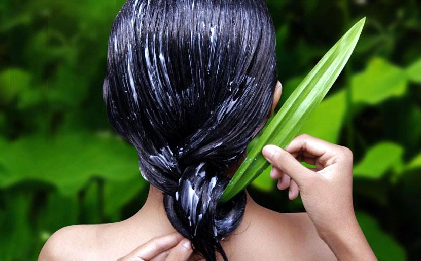 10 Benefits of Aloe Vera Juice for Hair