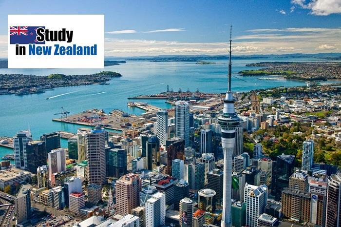 Study, Work and Live in New Zealand