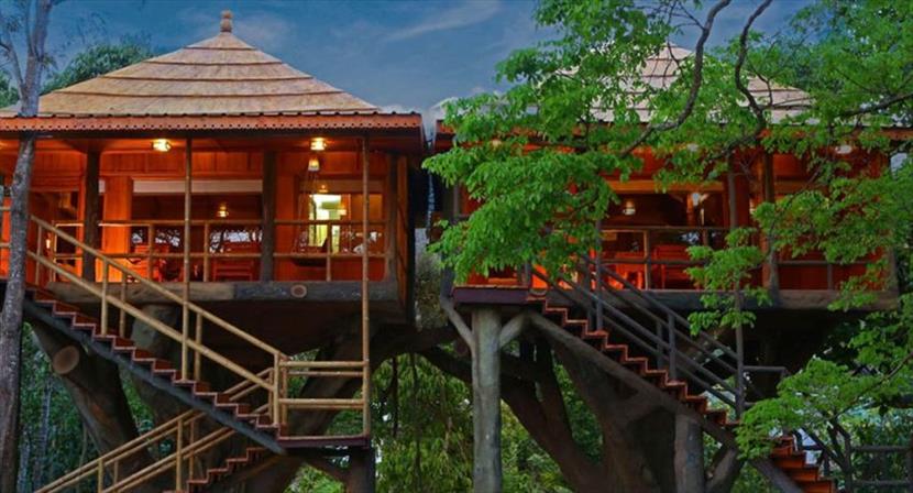 Top 10 Tree Houses in Kerala