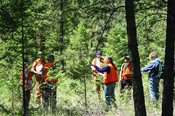 Forestry Forestry