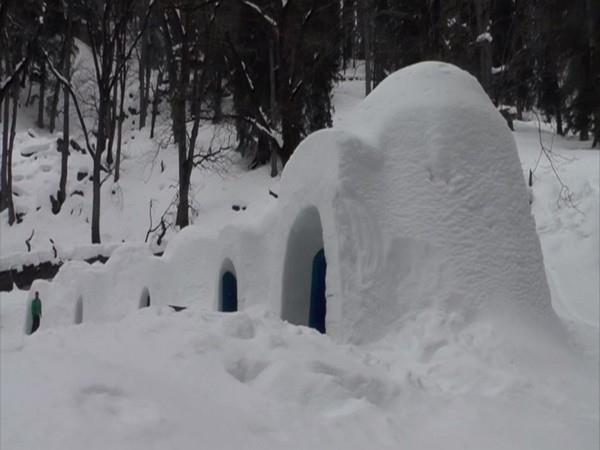 Igloo stay in Manali attracts tourists, locals too!