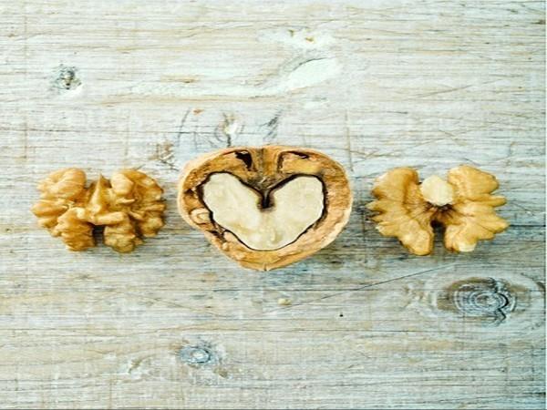 Eat walnuts daily for better gut, heart health