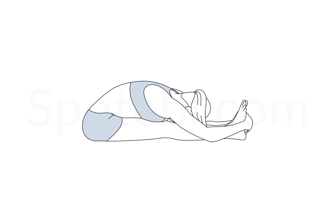 Paschimottanasana (Forward Bend)